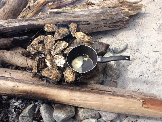 Oysters in a pot over a white sandy beach fire