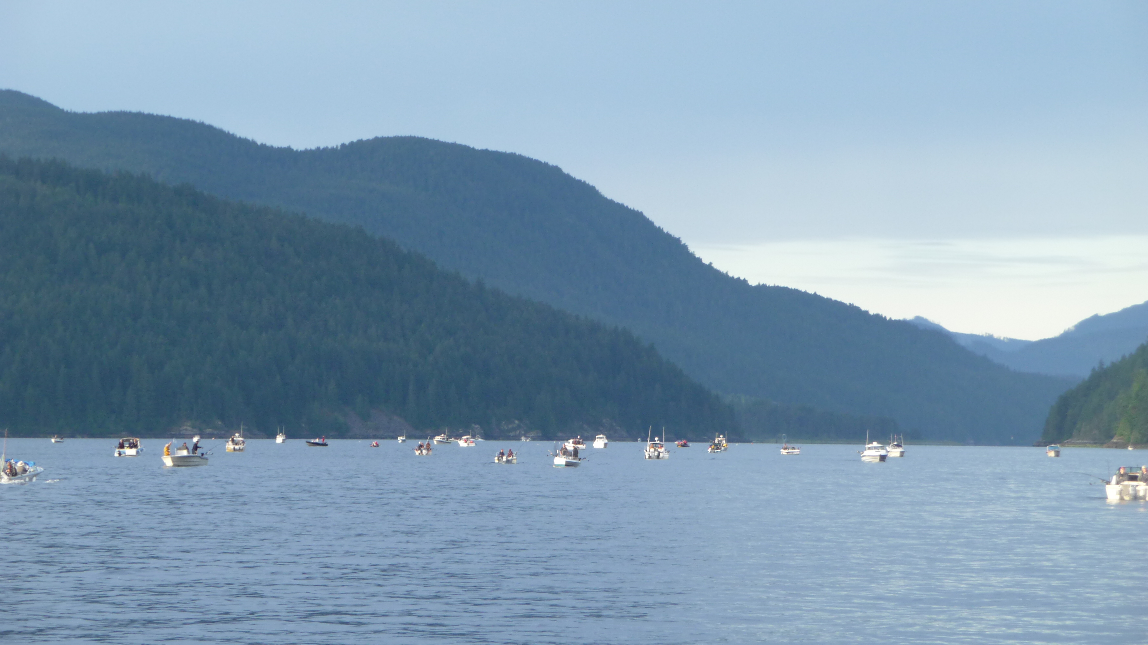 Sockey boats in Alberni Inlet