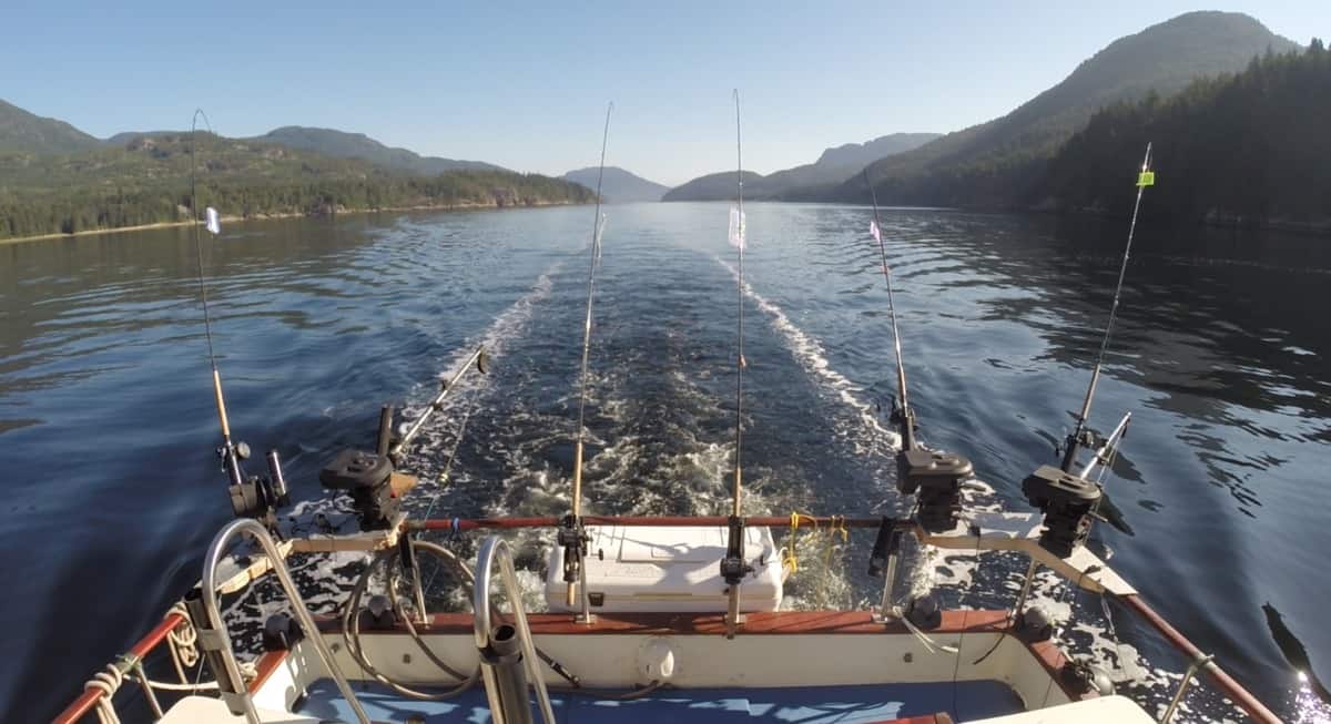 Port Alberni's Best Salmon, Halibut & Steelhead Charter